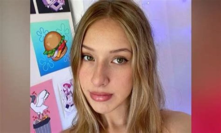 Understanding "Diddly ASMR Leaks": Sorting Fact from Fiction in the Quiet World