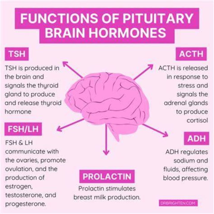Understanding ATPL Brain Disease: Causes, Symptoms, and Treatment Options