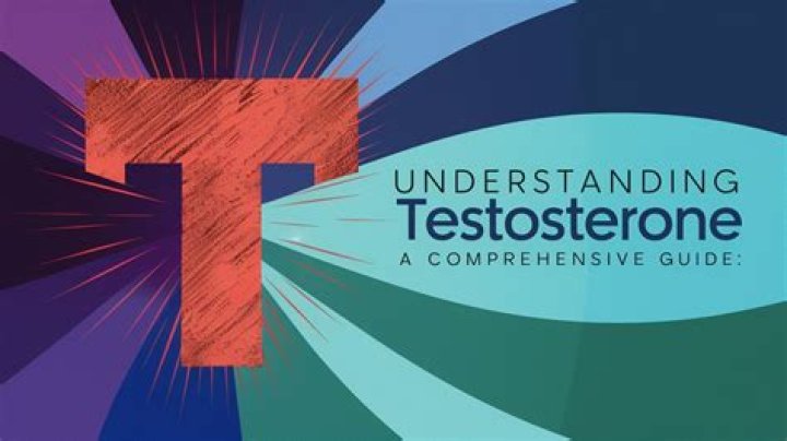 Understanding Lelasohna: A Comprehensive Guide