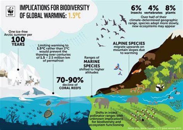 Understanding the Impact of Climate Change on Biodiversity: A Deep Dive