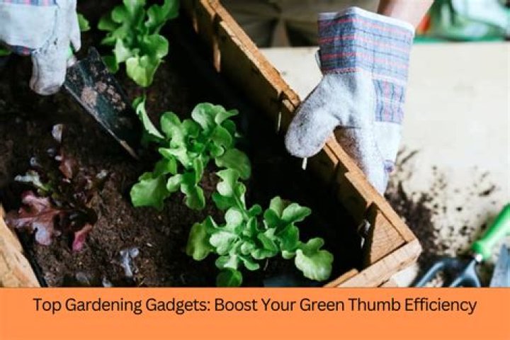 Unleashing the Green Thumb: Why 1v1 Planter Videos Are Taking Root