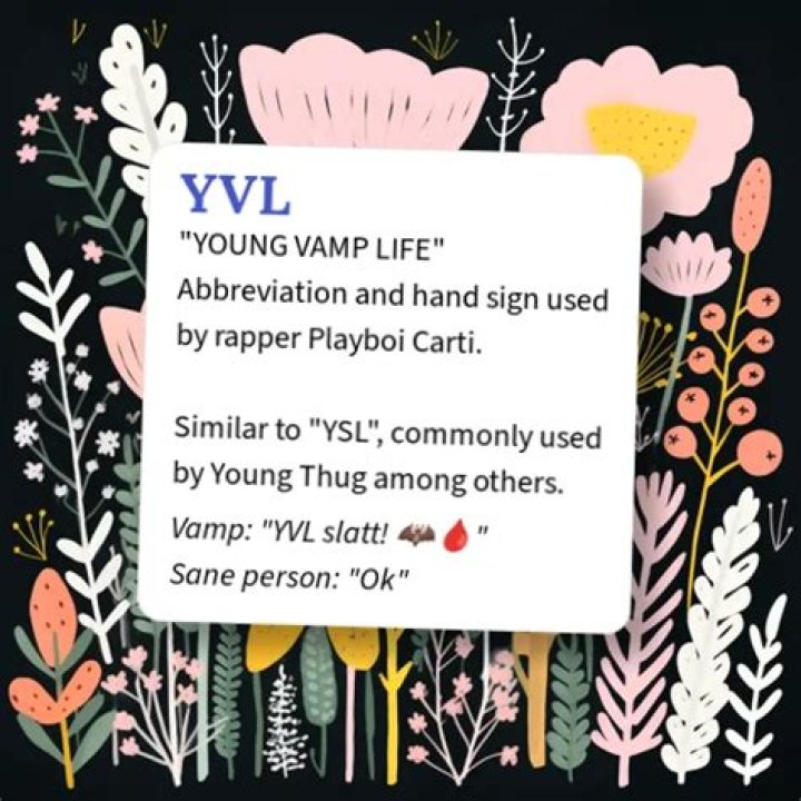 Unpacking YVL Meaning: What's Behind "Young Vamp Life"?