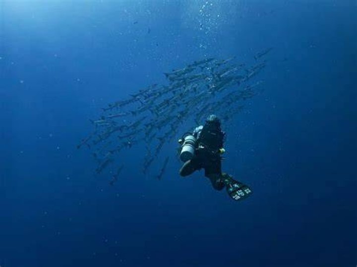 Unraveling the Mystery of Some436: A Deep Dive into an Enigmatic Term