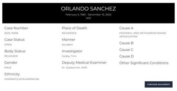 Unraveling the Search for 'Kyle Sanchez Cause of Death' Information: What We Know About Public Inquiries