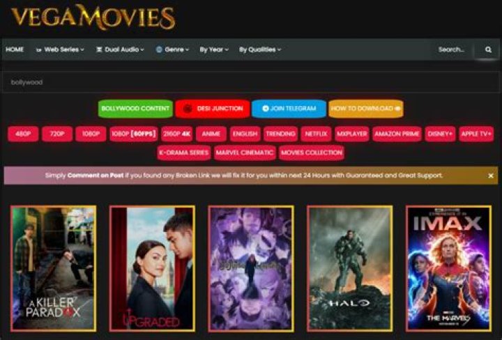 Vegamovies.lat: Your Ultimate Streaming Destination