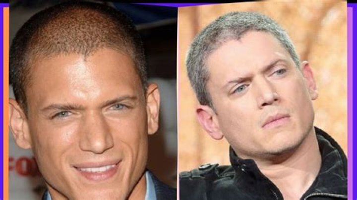 Wentworth Miller: The Remarkable Journey of a Hollywood Icon