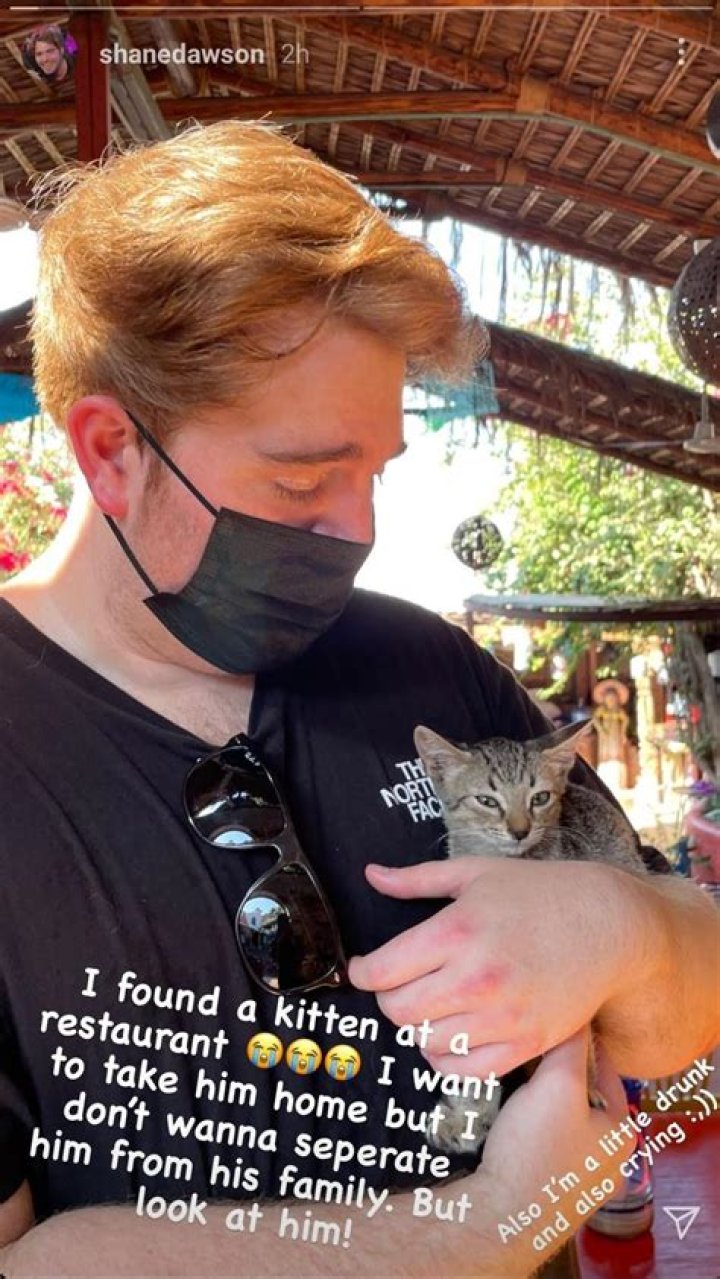 What Did Shane Dawson Do to His Cat? Unpacking the Controversy