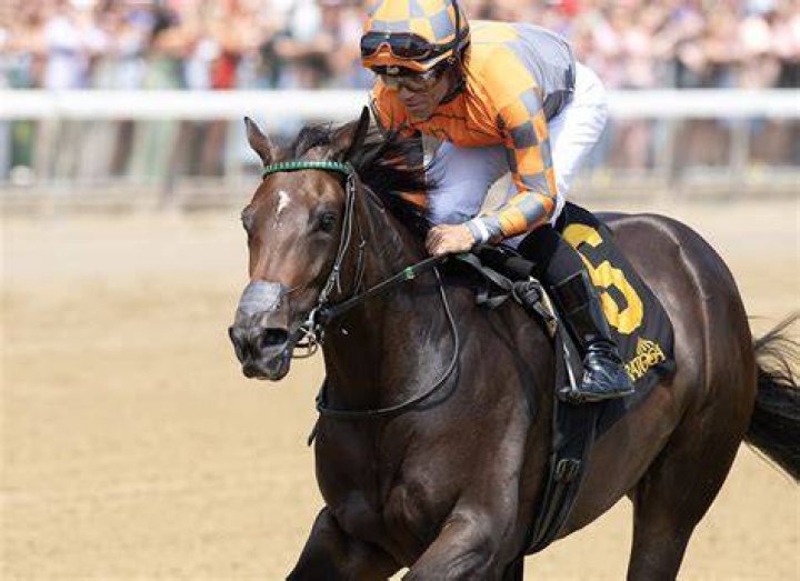 Who Is Tennessee Brando? Unveiling the Rising Star