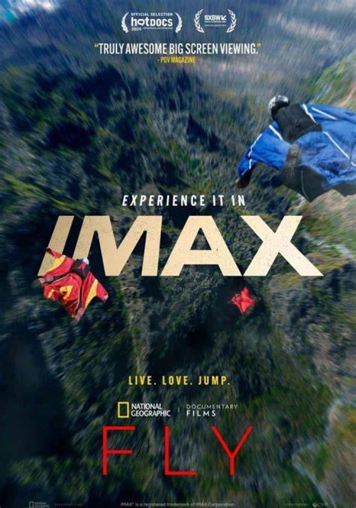 Why Filmy Fly Movie is Revolutionizing the Movie Streaming Experience