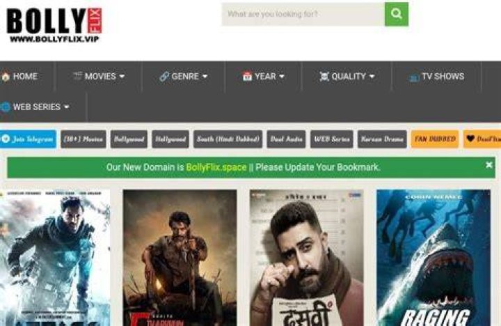 www Bollyflix: Your Ultimate Destination for Bollywood Entertainment