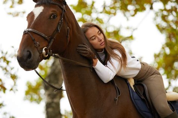 Your Guide to a Great Horse Miting: Understanding Equine Gatherings