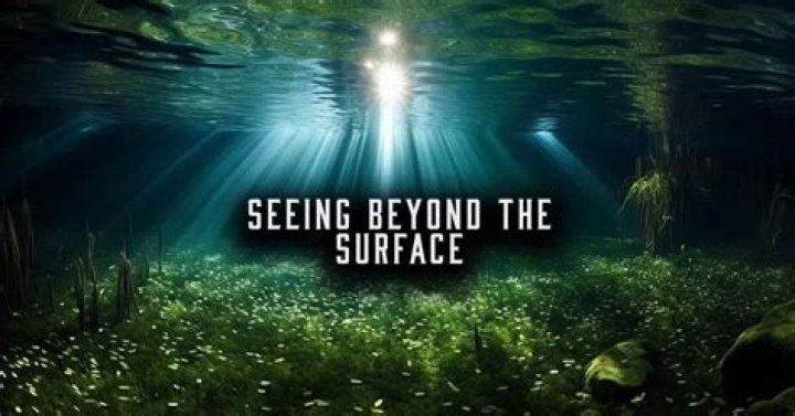 肉視: Seeing Beyond the Surface for True Quality and Safety